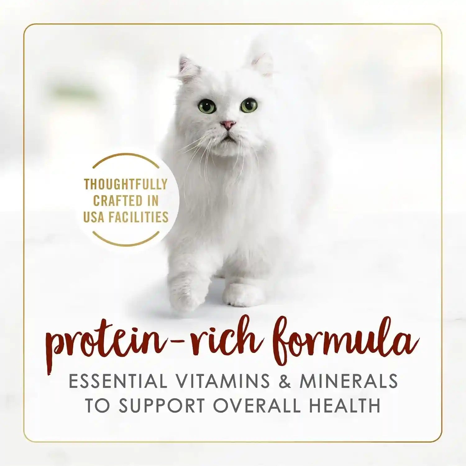 purina-fancy-feast-tender-beef-feast-classic-grain-free-wet-cat-food-pate-pack-of-24-3-oz-cans