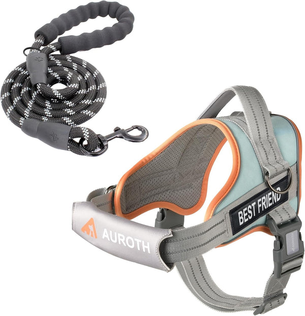 AUROTH Dog Harness and Leash Set, Soft Padded Service Dog Vest with 5.25FT Dog Leash, No Choke, Easy on Pet Vest, Adjustable Reflective No Pull Pet Vest Medium Sized Dog, Easy Walking and Training20