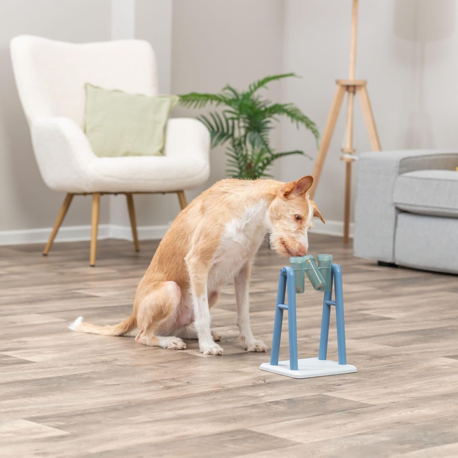 trixie-turn-around-mad-scientist-dog-activity-interactive-toy-level-2-food-puzzle-game-brain-teasing-treat-dispenser-iq-and-mental-development-toy-for-smart-dogs-enrichment-toy-for-boredom-busting