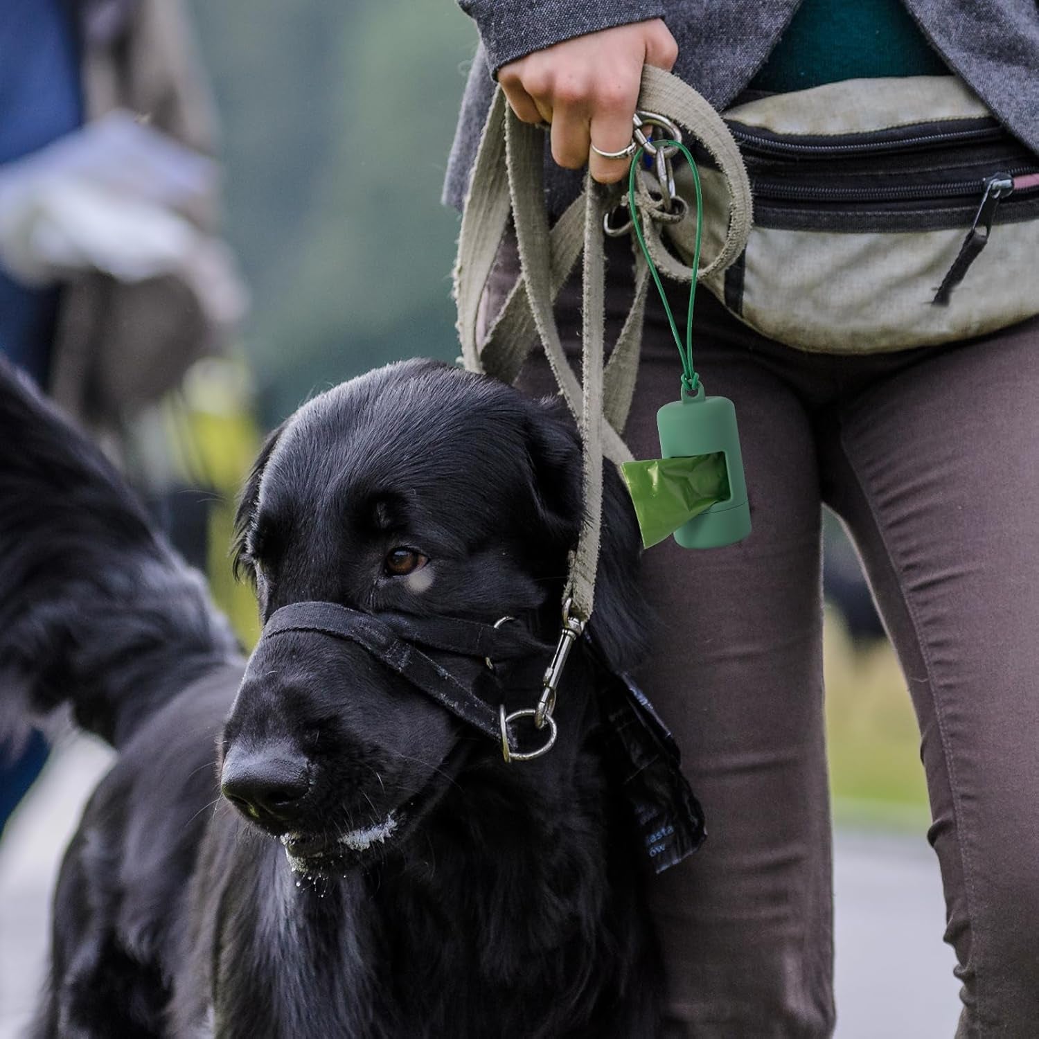 slson-3pack-dog-poop-bag-holder-for-leash-lightweight-pet-waste-bag-dispenser-with-leash-attachment-portable-plastic-doggie-poop-bag-dispensers-blue-green-black