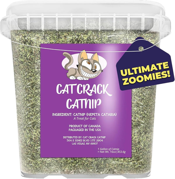 Cat Crack Catnip, Zoomie-Inducing Cat Nip, 100% Natural North American Made | 100% Natural, Safe & Non-Addictive Catnip Treats Used to Supplement Cat Nip Toys, Spray, & Accessories (1 Cup)8