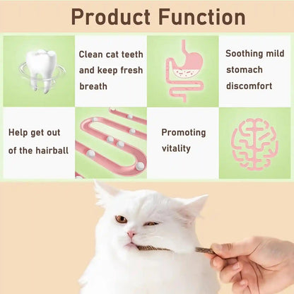 Natural Silvervine & Catnip Dental Chew Sticks,12 PC | 100% Natural Dental Chews (6 Catnip, 6 Silvervine Fruit). Cleans Teeth, Freshens Breath, and Relieves Kitten Teething2