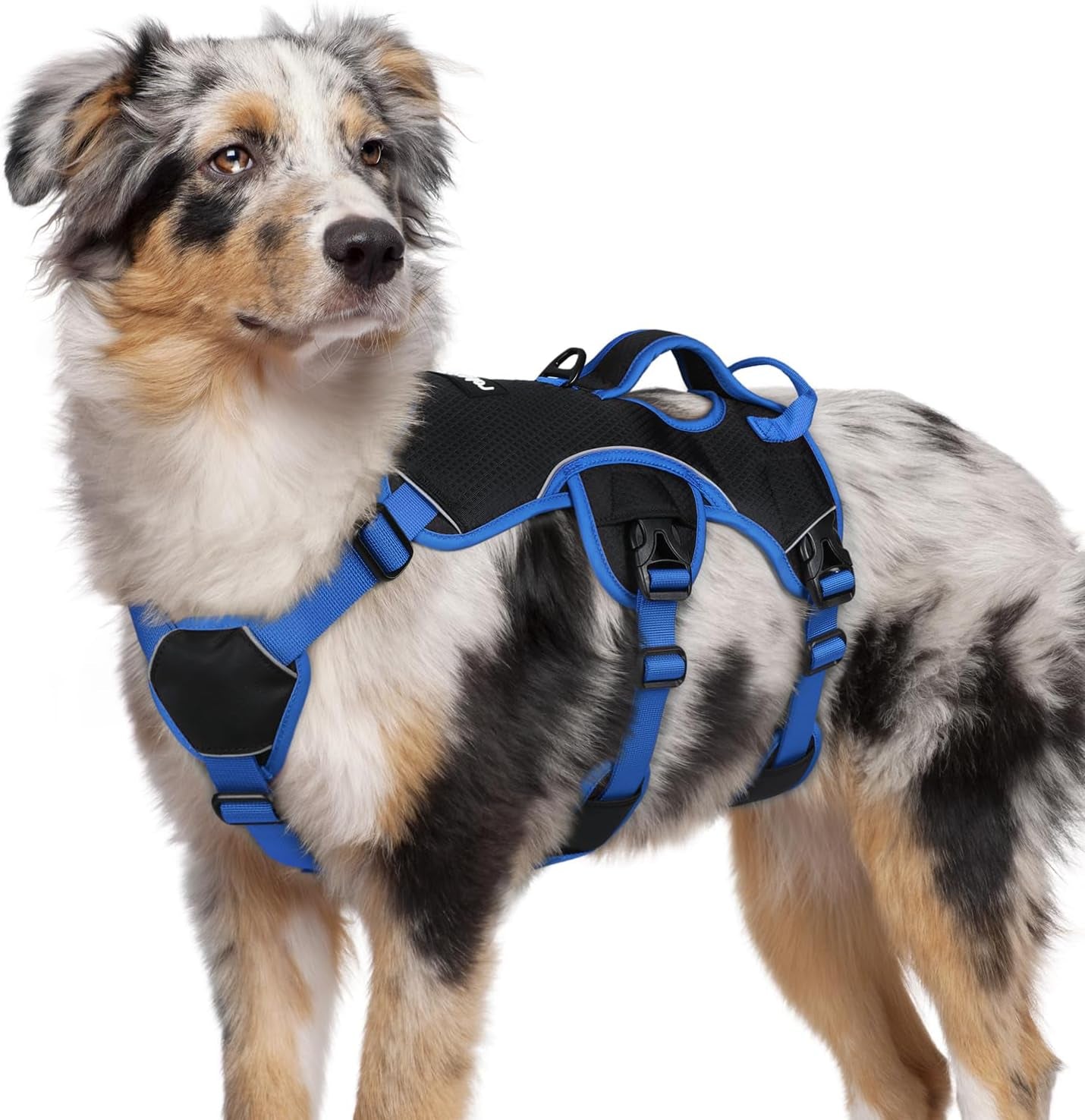 rabbitgoo-escape-proof-dog-harness-for-large-no-pull-with-lift-handle-no-escape-full-soft-padded-reflective-adjustable-vest-leash-clip-for-walking-hiking-training-black-large