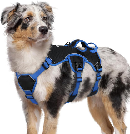Rabbitgoo Escape Proof Dog Harness for Large, No Pull with Lift Handle | No Escape, Full Soft Padded, Reflective Adjustable Vest, Leash Clip for Walking Hiking Training, Black, Large22