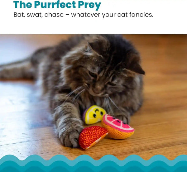 Catstages Dental Fruit Wedges 4 Pk, Soft and Textured Catnip Chew Toys That Help Clean Teeth, Multicolored4