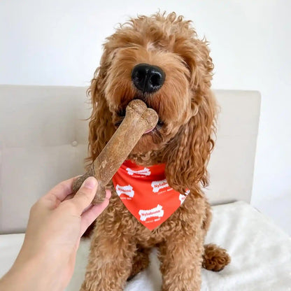 Nylabone Healthy Edibles Natural Dog Chews Long Lasting Roast Beef Flavor Treats for Dogs, Medium/Wolf (2 Count)2