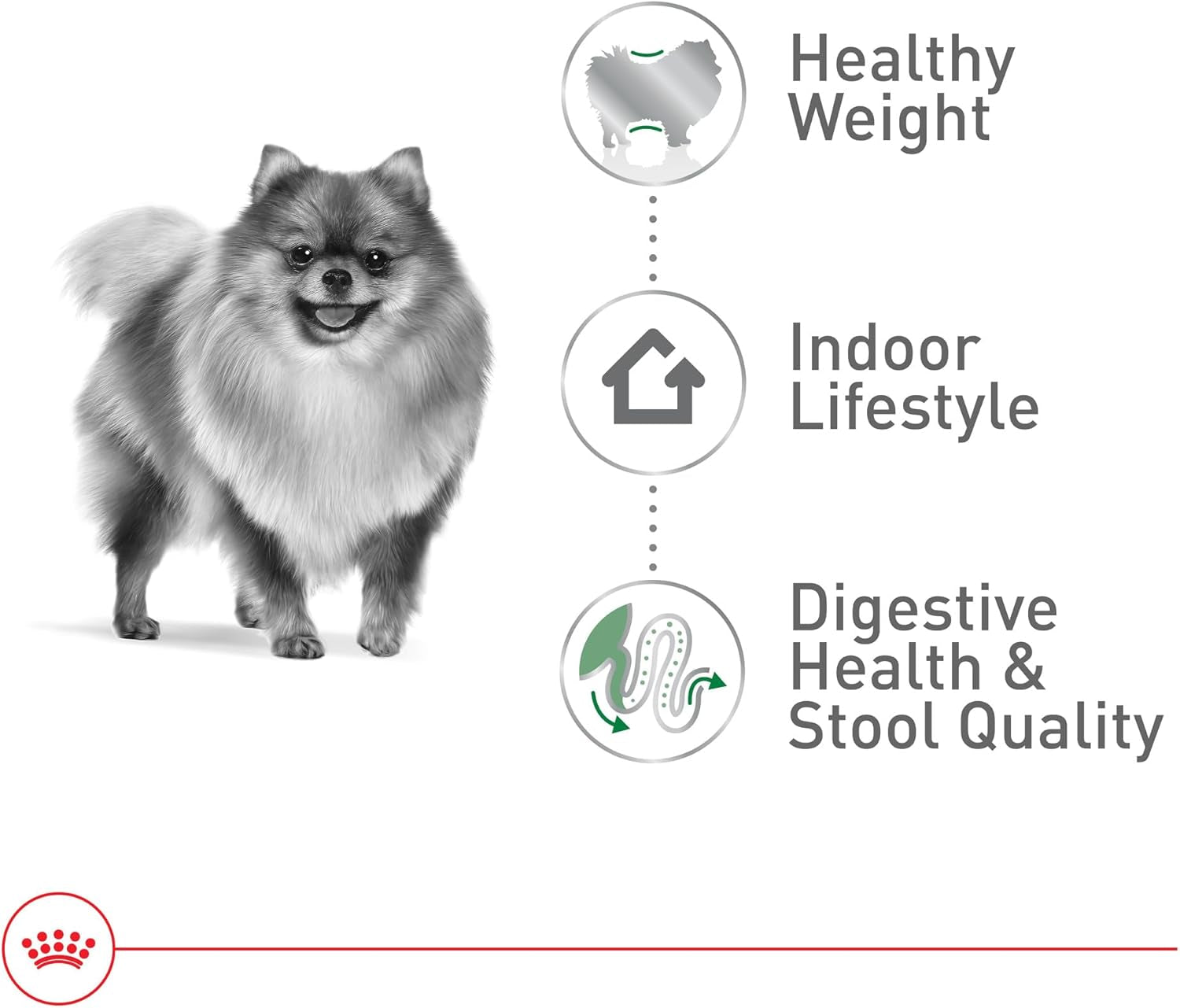 royal-canin-size-health-nutrition-small-indoor-adult-dry-dog-food-2-5-lb-bag