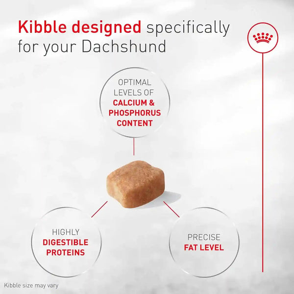 ROYAL CANIN Breed Health Nutrition Dachshund Adult Dry Dog Food, 10 Lb Bag. | Specialized Kibble Shape, Supports Joint and Bone Health, Promotes Healthy Weight, Complete and Balanced Nutrition4