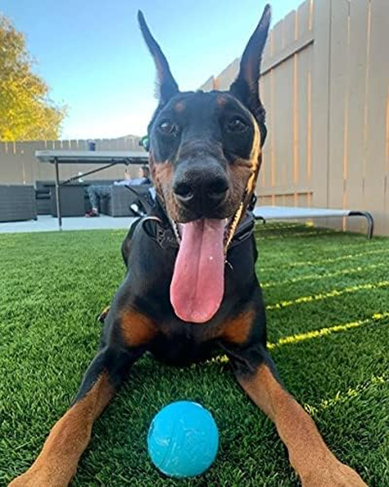 chew-king-fetch-balls-extremely-durable-natural-rubber-toy-pack-of-3-3-inch-balls-cm-0263-cs01