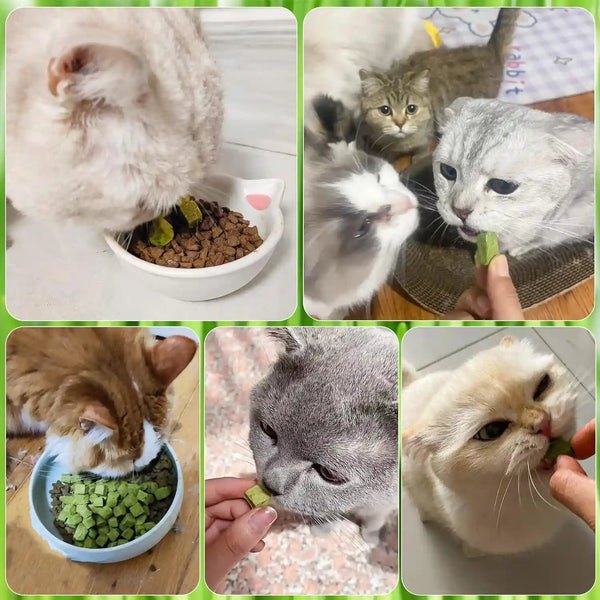 60G Cat Grass Treats for Indoor Cats, Freezed Dried Cat Grass Teething Stick Snacks for Cats, Edible Feline Chew Toys for Hairball Control and Oral Health7