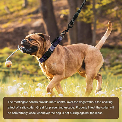 Martingale Collars for Dogs, Reflective Escape Proof Training Dog Collars with Quick Release Buckle,Adjustable No Slip Nylon Dog Collar for Medium Pets6