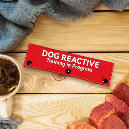 Advivio Dog Reactive Training in Progress Funny Red Dog Leash Sleeve, Wrap Alert Hanging ID Patch Tag for Pet the Best Choice for Daily Walking and Training Fitness, Pet Birthday Gift6