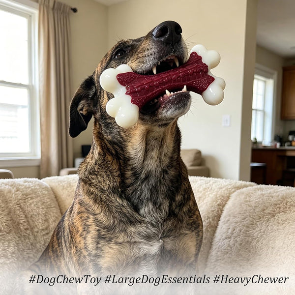 Kseroo Tough Dog Chew Toys for Aggressive Chewers 20-90Lbs, Beef Flavored | Beef Flavored Rock-Hard Nylon Bone, Discourages Destructive Chewing, Teeth Cleaning Textured, for Medium & Large Breeds3