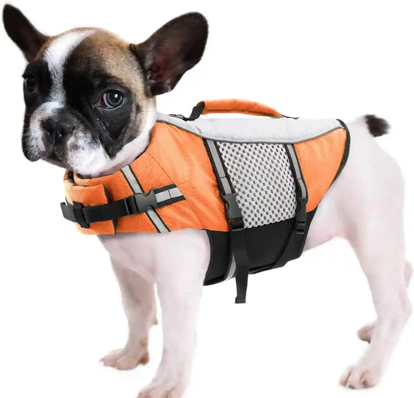 Queenmore Dog Life Jacket Small Float Vests for Swimming Boating Kayaking Mediumn Puppy Dogs Cats Neoprene Life Preserver Pet Water Lifesaver Lightweight Reflective Green,L17