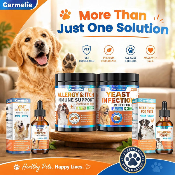 Yeast Infection Treatment for Dogs, 200 Chew Carmelie Yeast Balance Healthy Itch Relief, Ear Paw Care for Dog, Allergy Supports, Inflammation Relief for Dogs, Chinken Flavor (70 Days Supply)10