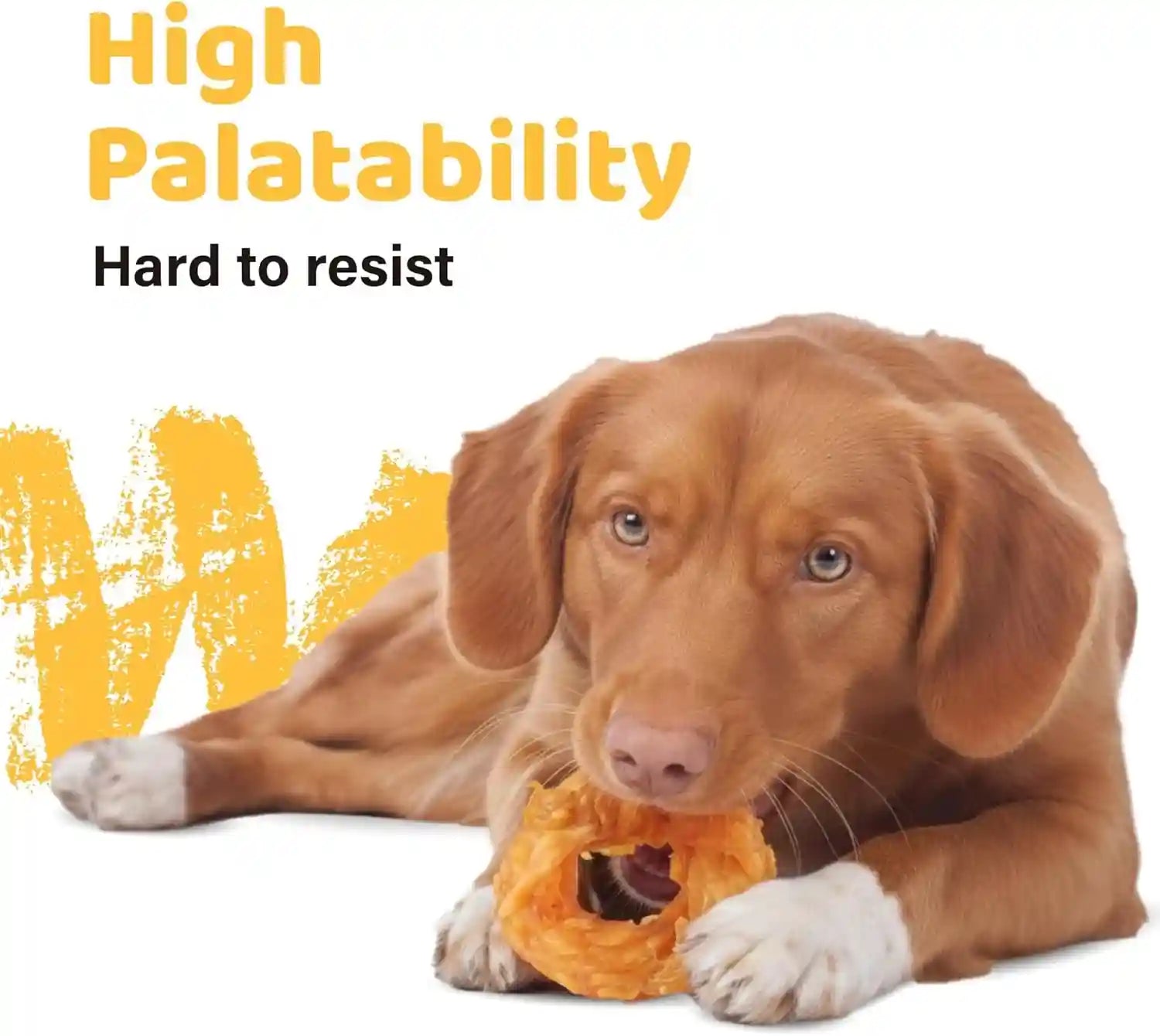 ipaw-10-pcs-value-pack-turkey-tendons-ring-for-dog-all-natural-human-grade-single-protein-hypoallergenic-grain-free-rawhide-alternative-dog-treats-us-sourced-turkey