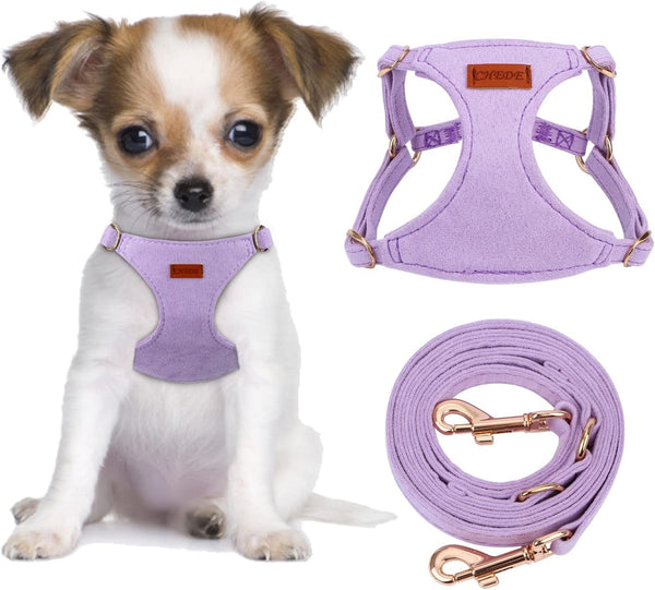 CHEDE No Pull Puppy Harness and Multifunction Dog Leash Set- 8 Colors Soft Adjustable No Choke Escape Proof Cute,Lightweight Pet Vest Harness for Small and Medium Dog…13