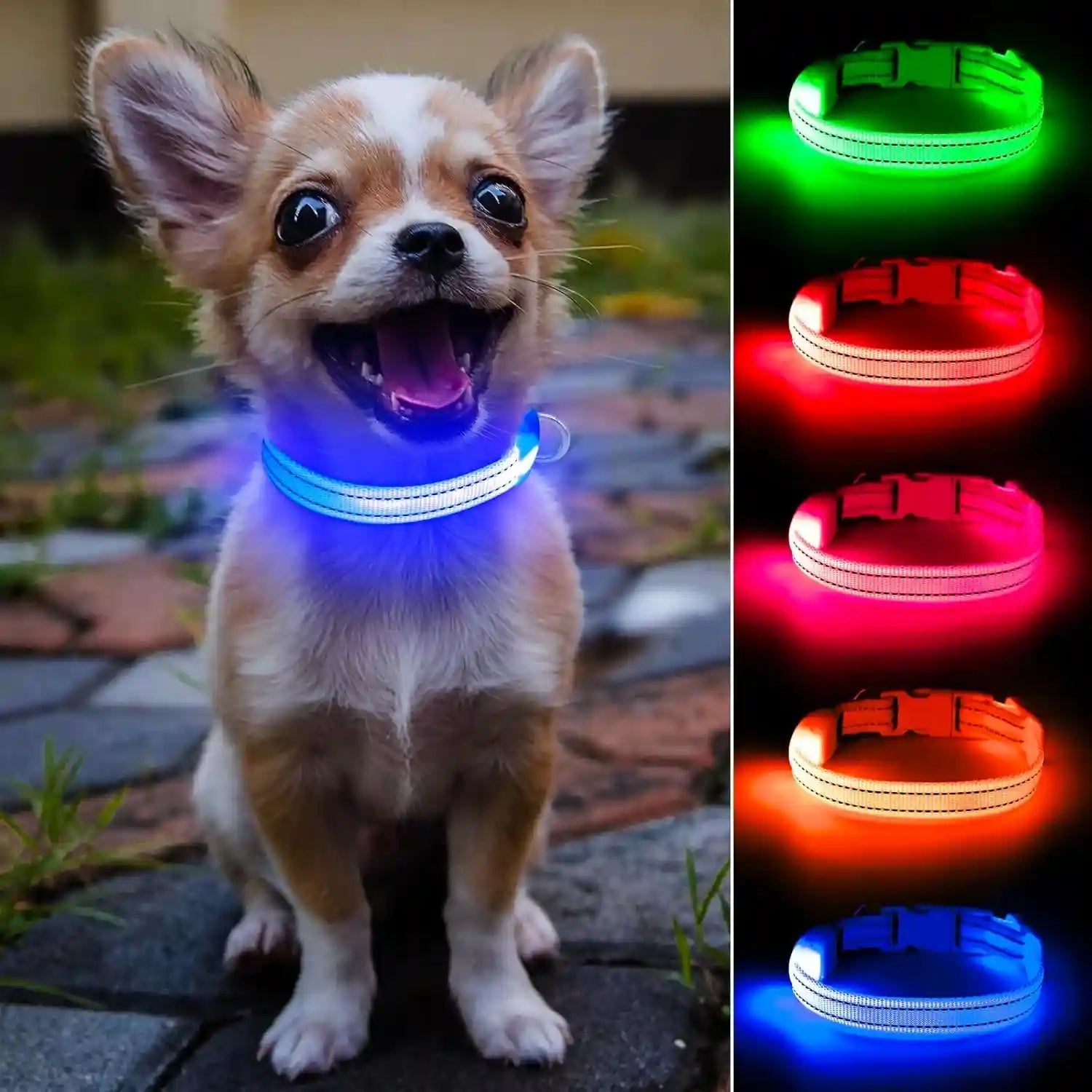 light-up-dog-collar-for-small-dogs-cats-reflective-led-dog-collar-rechargeable-glowing-puppy-collar-safety-dog-lights-for-night-walking-royal-blue