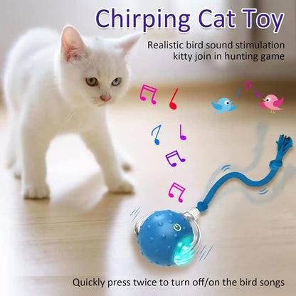 Giociv Interactive Cat Toys Ball for Indoor Cats Fast Rolling on Carpet, Chirping & Motion Activate Cat Toys (Blue)5