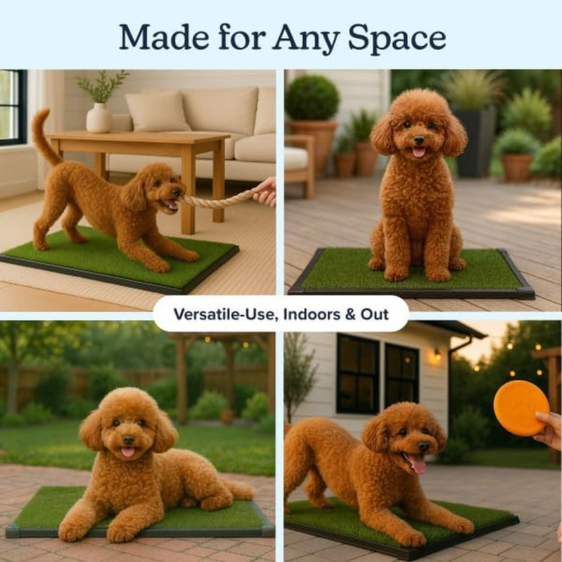 petmaker-artificial-grass-puppy-pee-pad-for-dogs-and-small-pets-16-x-20-reusable-3-layer-turf-pads-for-dogs-with-tray-indoor-and-outdoor-fake-grass-potty-pet-supplies