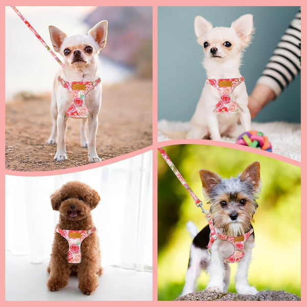 Lukovee No Pull Puppy Harness and Leash Set - Adjustable Lightweight Soft Suede Pet Harness Vest, with Snap Buckle & 51In Leash for Small Medium Dogs (Pink Rose, XXS)7