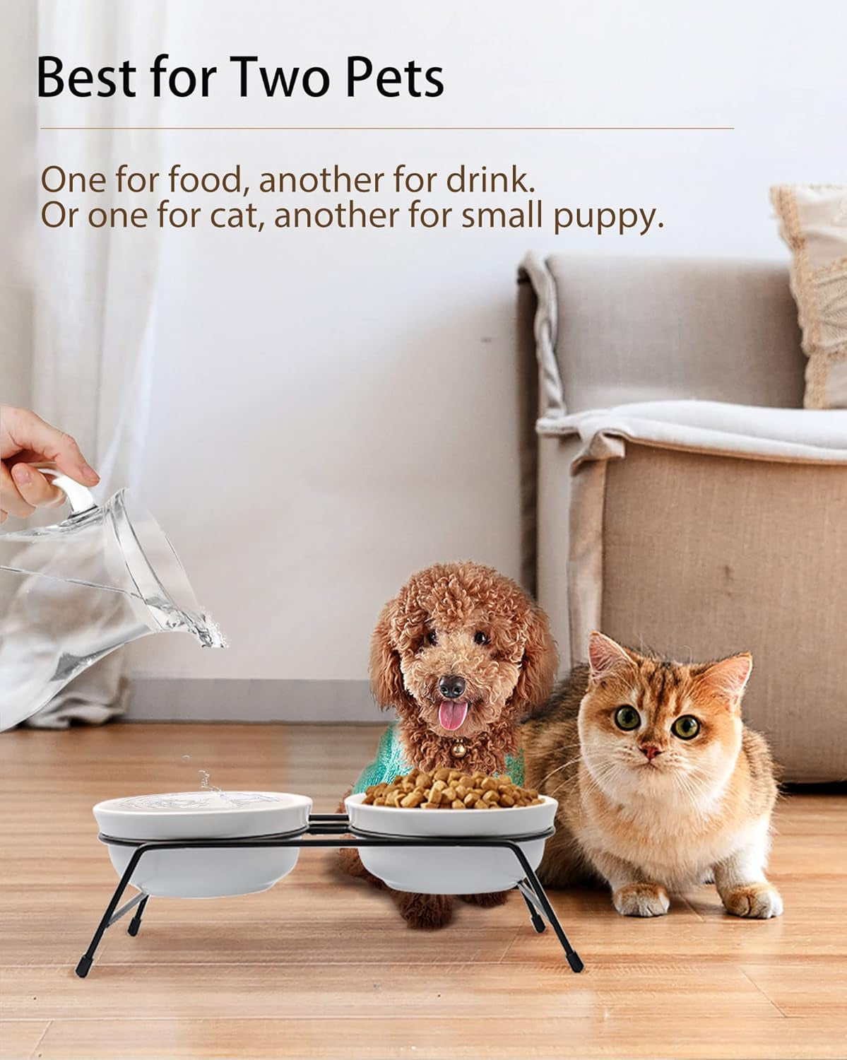 anti-vomiting-raised-cat-bowls-2-13-oz-ceramic-cat-food-water-bowls-with-non-slip-stainless-steel-stand-dishwasher-safe-for-indoor-cats