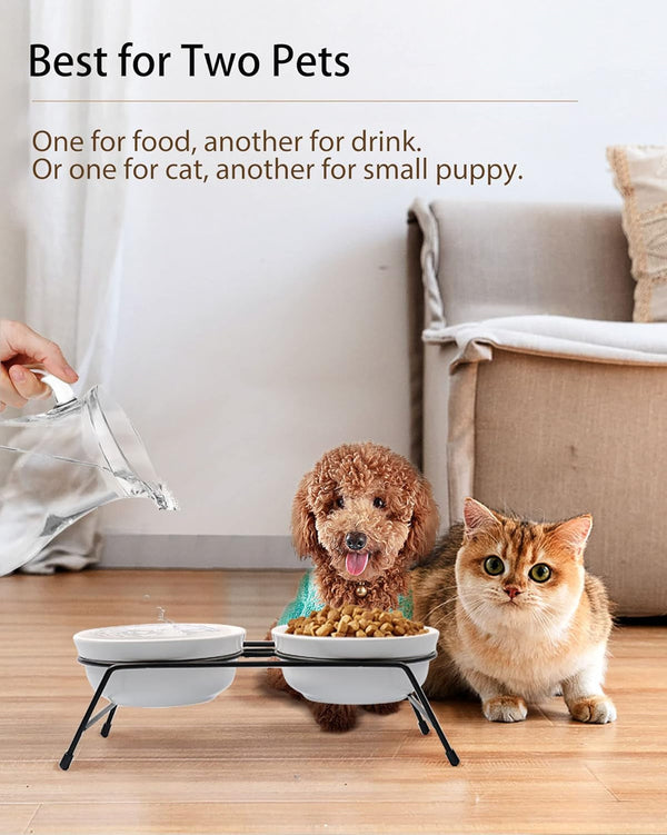 Anti-Vomiting Raised Cat Bowls - 2 × 13 Oz Ceramic Cat Food & Water Bowls with Non-Slip Stainless Steel Stand, Dishwasher Safe for Indoor Cats5