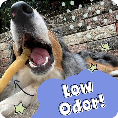 Pawstruck All Natural 11-12" Roasted Collagen Sticks for Dogs – Low Odor & Long-Lasting Bully Stick & Rawhide Alternative, Single Ingredient, Vet Approved – 5 Pack7
