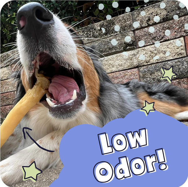 Pawstruck All Natural 11-12" Roasted Collagen Sticks for Dogs – Low Odor & Long-Lasting Bully Stick & Rawhide Alternative, Single Ingredient, Vet Approved – 5 Pack7