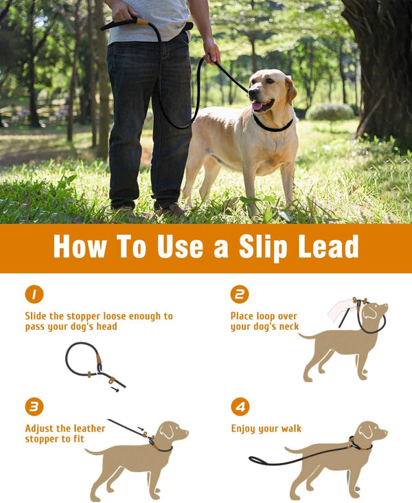 Lynxking Dog Leash Slip Lead 5 6 8 FT Dog Training Leash Strong Heavy Duty Rope No Pull Training Lead Leashes for Dogs4