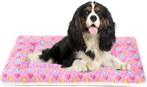 Mora Pets Dog Crate Pad - Ultra Soft Pet Bed with Cute Star Print, Washable Mat for Large Medium Small Dogs, Reversible Fleece Kennel Liner, Cat Bed 23 X 18 Inch Brown25