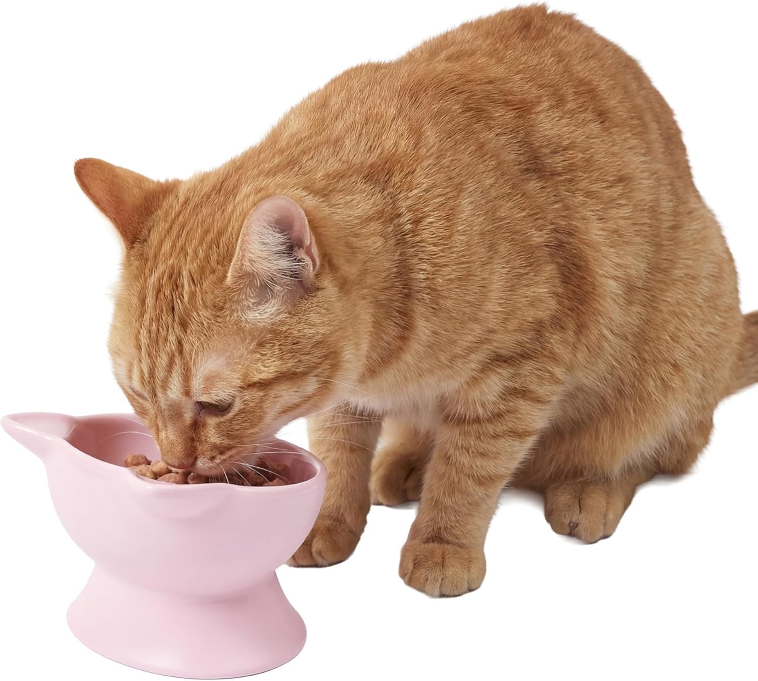 kitty-city-elevated-cat-bowls-set-of-2-whisker-friendly-raised-cat-food-water-dishes-modern-pedestal-design-dishwasher-safe-6-5-oz-each-white-gray