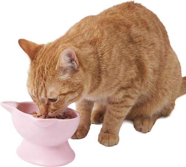 Kitty City Elevated Cat Bowls (Set of 2), Whisker-Friendly Raised Cat Food & Water Dishes, Modern Pedestal Design, Dishwasher Safe, 6.5 Oz Each – White & Gray12