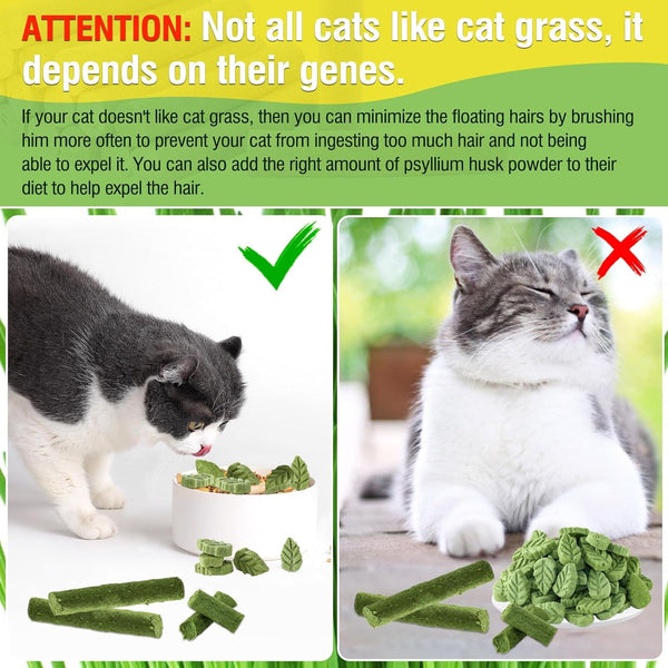 100G/3.52Oz Cat Grass Treats, Cat Grass Teething Stick for Hairball Remove and Teeth Cleaning, Edible Cats-Grass Stick Snack4