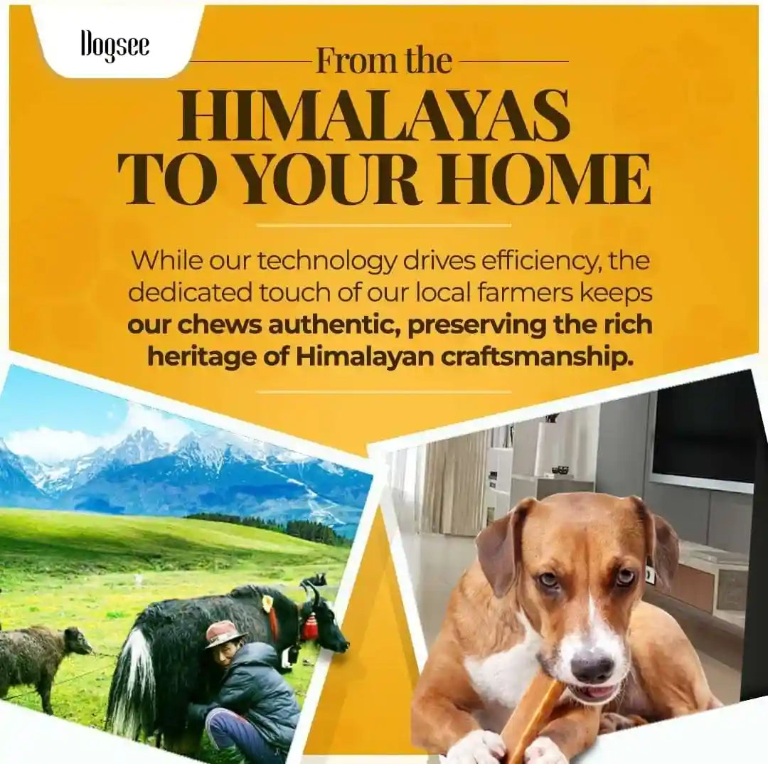 dogsee-yak-chews-for-dogs-1lb-medium-6-bars-100-all-natural-60-protein-dog-treats-medium-breed-yak-chews-long-lasting-for-aggressive-chewers-raw-hide-free