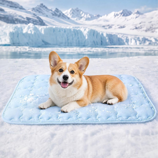 Luciphia Dog Cooling Mat, Q-MAX>0.5 Non-Slip Self-Cooling Pad for Pets | Elastic Support, Joint Protection; Q-MAX>0.5 Instant Cooling Needs No Power; Non-Slip Washable Dog Bed; Light Blue 20X3013