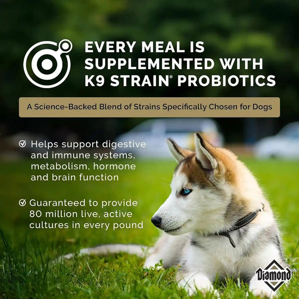 Diamond Puppy High Protein Dry Dog Food, Chicken Protein, 40Lb | Puppy, Adult & Senior Dogs | DHA for Proper Brain & Vision Development | Guaranteed Probiotics for Digestive Support7