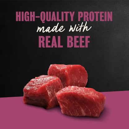 Cesar Wet Dog Food, Steak Lovers Variety Pack, 3.5 Oz, 36 Count | Real Meat #1 Ingredient, Easy Peel Trays, 100% Complete & Balanced, No Fillers, No Added Sugar, No Artificial Flavors4