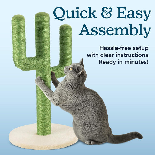 24” Tall Cat Scratching Post - Vertical Cactus Scratch Post for Indoor Cats - 360 Degree Jute Rope-Covered Kitten Scratcher with 3 Branches and Sturdy Base by PETMAKER (Green)5