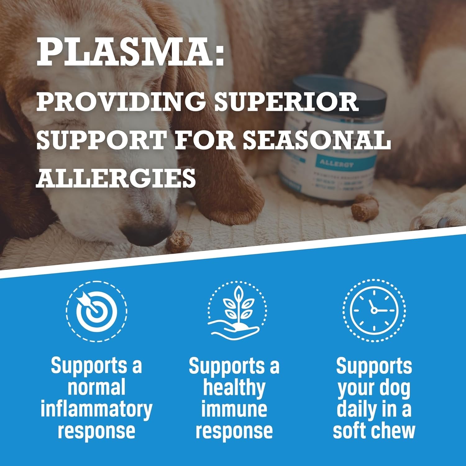 allergy-chews-plasma-powered-formula-for-dog-seasonal-allergy-support-grain-free-natural-blood-protein-supplements-60-soft-chews-1-canister