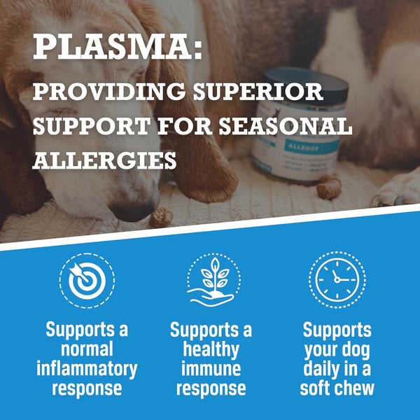 Allergy Chews – Plasma-Powered Formula for Dog Seasonal Allergy Support – Grain-Free Natural Blood Protein Supplements – 60 Soft Chews (1 Canister)7