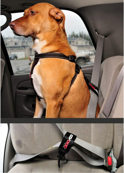 Ezydog Universal Dog Seat Belt Restraint for Cars | Attaches to Your Car'S Seat Belts, Keeps Dog in Place, Dog Can Sit or Lay, Just Fasten to D-Ring on Your Ezydog Harness4