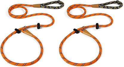 Lynxking Slip Lead Dog Leash Reflective, Heavy Duty Comfortable Strong Rope for Large Medium Small Dogs No Pull Pet Training (Light Green, Large 1/2In X 6Ft-Slip Lead)21