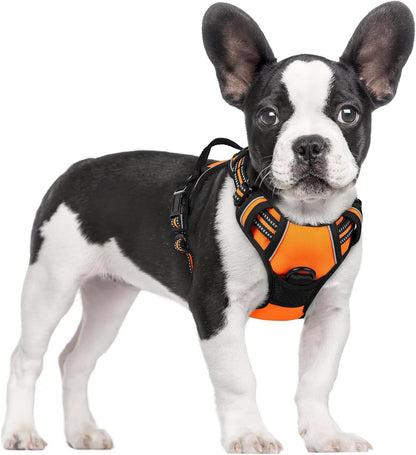 Rabbitgoo Dog Harness, No Pull for Large Dogs with 2 Leash Clips, Pet Vest | No Choke with Handle, Adjustable Soft Padded, Reflective, Easy Control for Walking, Black, Large69
