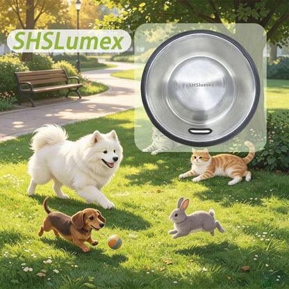 Shslumex 2Packs Stainless Steel Cat Bowl with Anti-Skid Rubber Base, Stainless Steel Dog Bowls for Small/Medium/Large Pet, Perfect Dish and Water Choice for Puppy Cat Kitten6