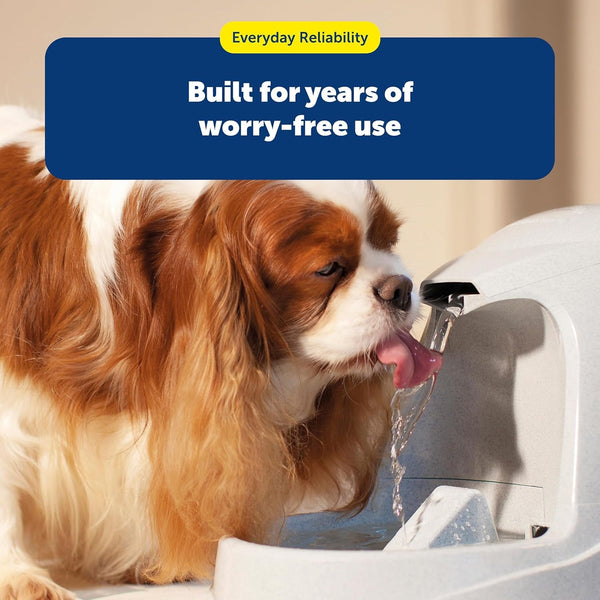 Petsafe Drinkwell Premium Carbon Filters, Dog & Cat Fountains, 12-Pack | Certified Fit for Drinkwell Outdoor, Everflow, Multi-Tier, Original, Platinum, Zen & Mini, 50% More Carbon.6