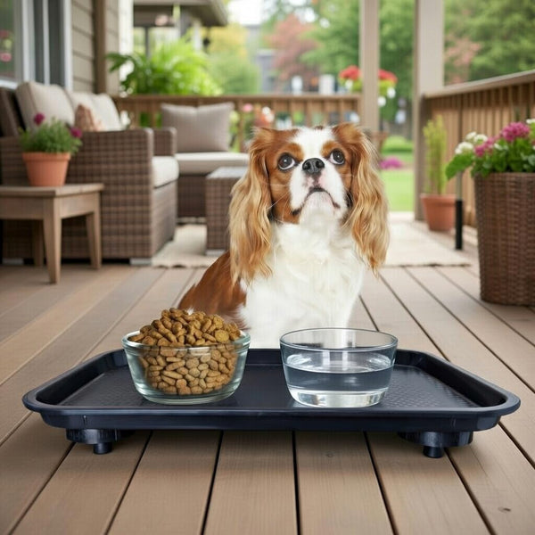 Ant Proof Tray - Waterless, Moat Free Cat and Dog Food Tray for Crawling Pest Free Pet Food Feeding Station. Kitchen Sweets and Trash, Ant Free Platform.9