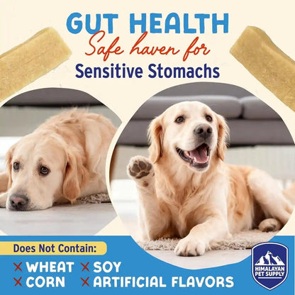 Himalayan Dog Chew Yogurt Sticks, Probiotic Treats, Peanut Butter, 5 Treats | Dog Chews with Prebiotics, Probiotics & Protein, Digestive Support, Lactose & Gluten Free, Natural Dog Treats for All Breeds5