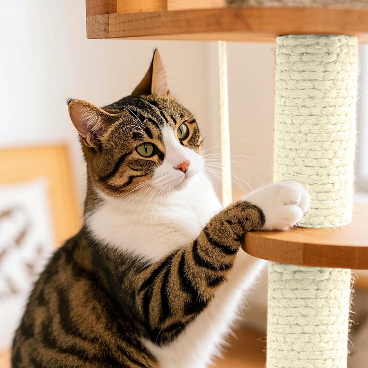 sisal-rope-for-cat-scratcher-1-4-100-ft-cat-tree-twine-for-repairing-cat-scratching-post-replacement-diy-hemp-rope-for-carpet-mat-pet-and-crafts-gardening-home-decorating