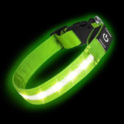 Super Bright LED Dog Collar, Waterproof Light up Collars(Green, Medium) | Lighted Dog Collar with Adjustable Fit, Soft Nylon Comfort, USB-C Rechargeable, Glow in the Dark Visibility for Night Walks1